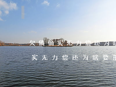 欠债确实无力偿还为啥要刑拘判刑-欠债确实无力偿还为啥要刑拘判刑呢