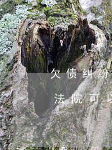 欠债纠纷可以去法院起诉吗(欠钱不还,起诉到法院,可以拘留欠债人吗)