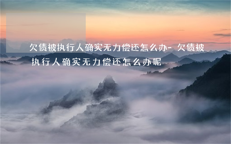 欠债被执行人确实无力偿还怎么办-欠债被执行人确实无力偿还怎么办呢