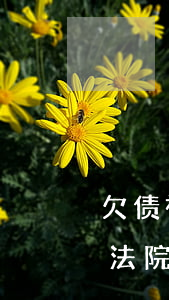 欠债被起诉 没能力偿还怎么办(欠债没能力还法院怎么处理)