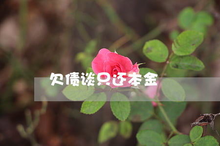 欠债谈只还本金