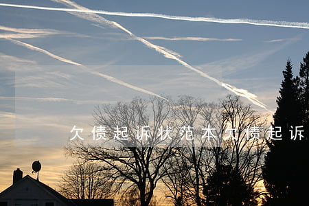欠债起诉状范本(欠债起诉流程起诉状怎么写)