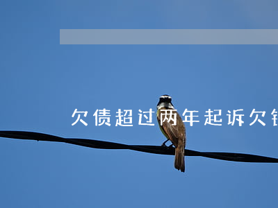 欠债超过两年起诉（欠钱2年起诉时效案例）