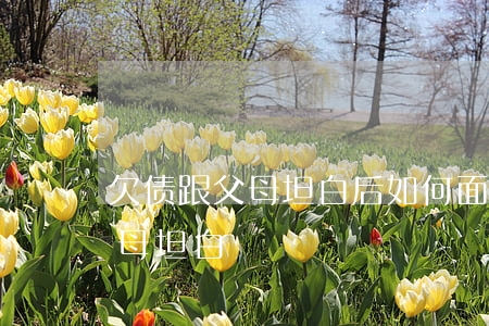 欠债跟父母坦白后如何面对-欠债怎么跟父母坦白