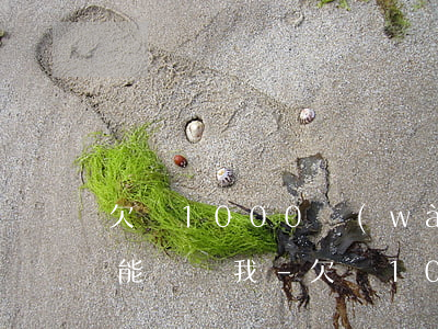 欠債1000萬(wàn)誰(shuí)能幫幫我-欠債1000萬(wàn)誰(shuí)能幫幫我還