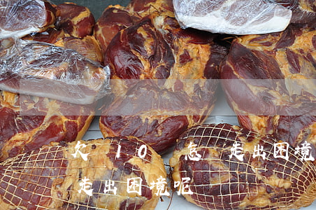 欠債10萬怎樣走出困境-欠債10萬怎樣走出困境呢