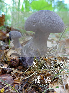 欠債120萬怎么處理(欠債120萬怎么處理好)