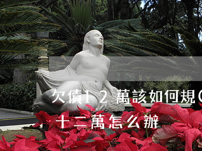 欠債12萬該如何規(guī)劃還款(欠債十二萬怎么辦)