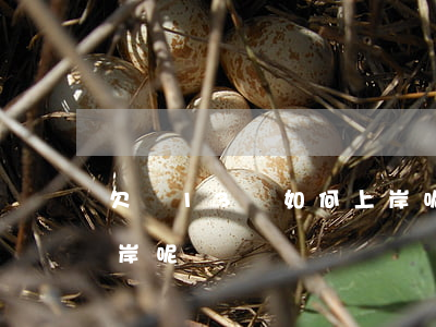 欠債13萬如何上岸呢-欠債13萬如何上岸呢