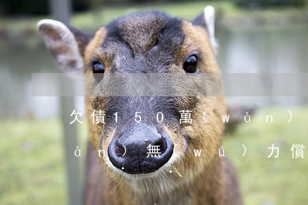 欠債150萬(wàn)（欠款150萬(wàn)無(wú)力償還）