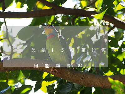 欠債150萬如何能翻身-欠債150萬如何能翻身呢