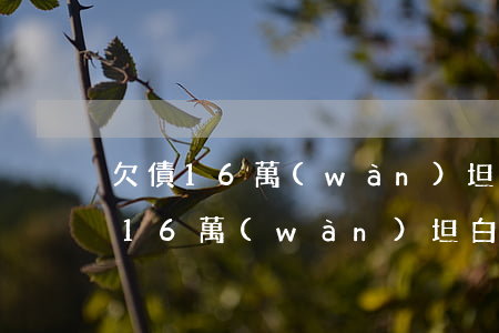 欠債16萬(wàn) 坦白后崩潰了-欠債16萬(wàn) 坦白后崩潰了有沒(méi)有掙錢(qián)快的方法