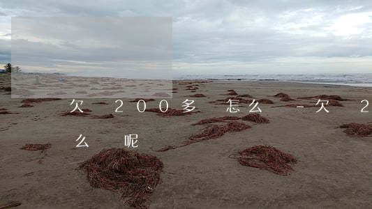 欠債200多萬怎么辦-欠債200多萬怎么辦呢