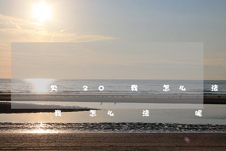 欠債20萬我該怎么辦法還錢-欠債20萬我該怎么辦法還錢呢