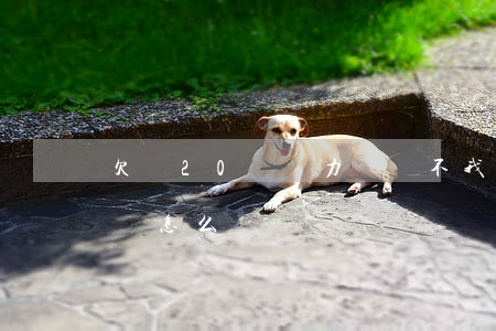 欠債20萬無力償還不 我欠款20萬無力償還怎么辦