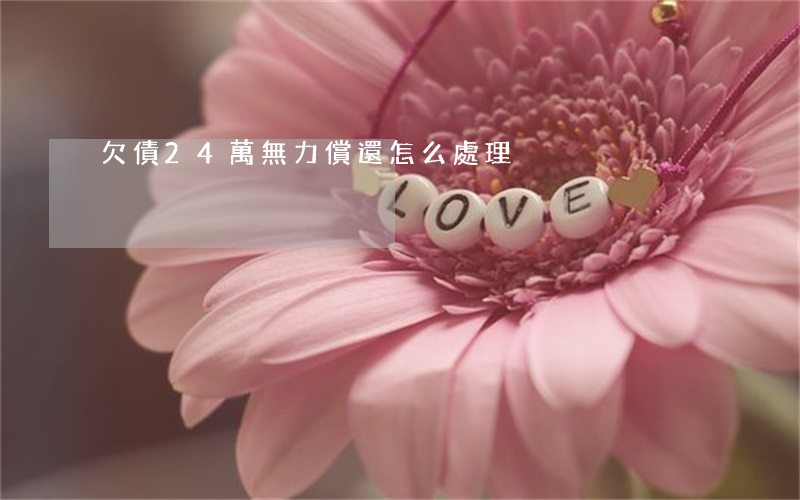 欠債24萬無力償還怎么處理
