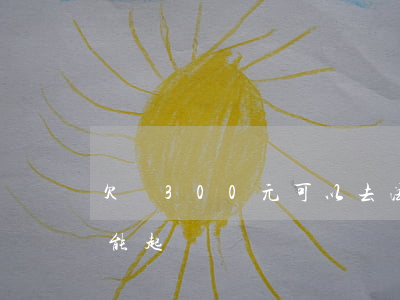 欠債300元可以去法院告嗎（欠錢300元能起訴嗎）