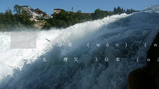 欠債30多萬(wàn)無(wú)力償還怎么處理（欠債30多萬(wàn)無(wú)力償還）