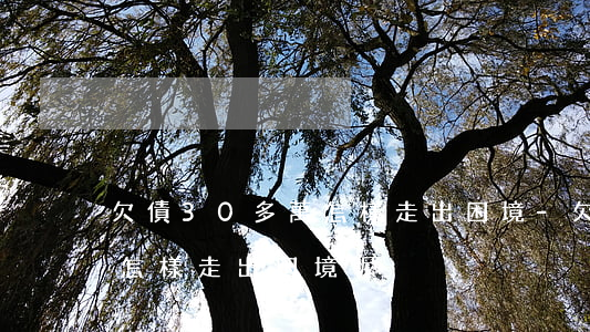 欠債30多萬怎樣走出困境-欠債30多萬怎樣走出困境呢