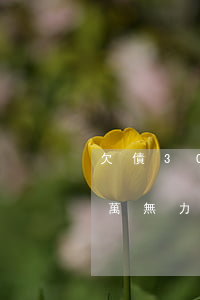 欠債30多萬無力償還怎么處理（欠債30多萬無力償還）