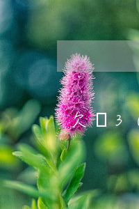 欠債30萬上岸-欠債30萬,怎么才能上岸