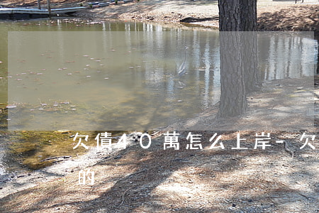 欠債40萬怎么上岸-欠債40萬怎么上岸的