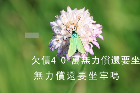 欠債40萬無力償還要坐牢嗎-欠債40萬無力償還要坐牢嗎