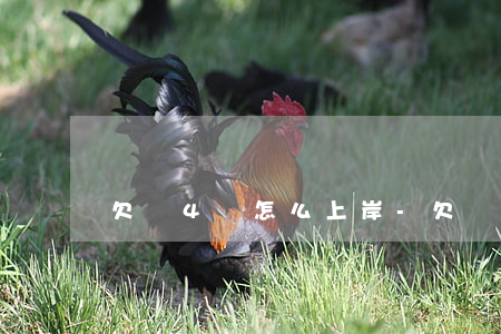 欠債4萬怎么上岸-欠債4萬怎么上岸的