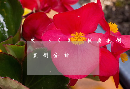 欠債500萬翻身案例-欠債500萬翻身案例分析