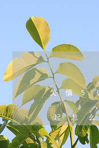 欠債50萬還不起怎么辦-欠債50萬還不起怎么辦呢