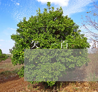 欠債一百萬無力償還 欠債100萬不還怎么辦