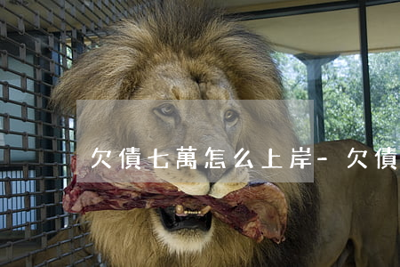 欠債七萬怎么上岸-欠債七萬怎么上岸的