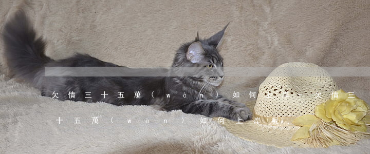 欠債三十五萬(wàn)如何上岸-欠債三十五萬(wàn)如何上岸呢