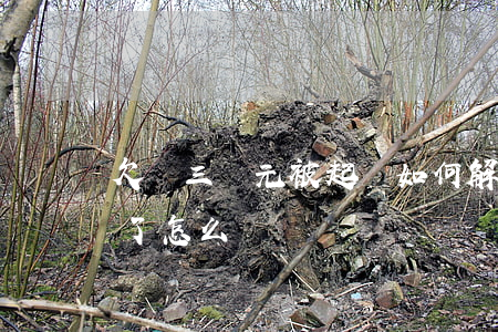 欠債三萬元被起訴如何解決(欠款三萬被起訴了怎么辦)