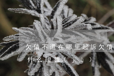 欠債不還在哪里起訴(欠債不還怎么起訴需要什么證據(jù))
