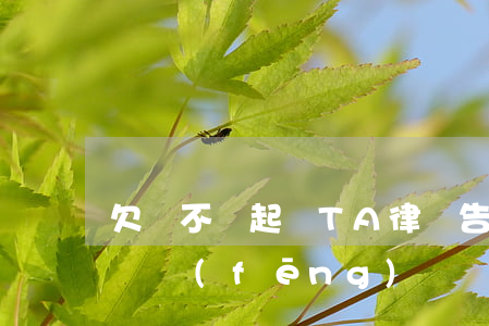 “欠債不還起訴TA”，律師告訴你：訴前必知13種風(fēng)險！
