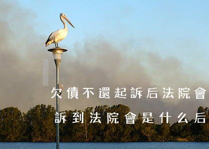 欠債不還起訴后法院會怎么處理(欠錢不還起訴到法院會是什么后果)
