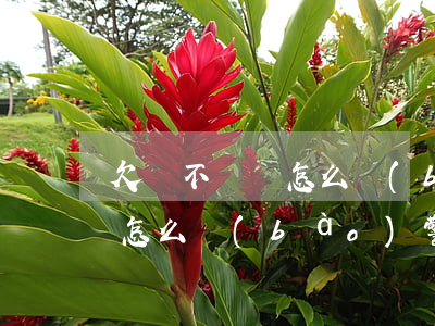 欠債不還錢怎么報(bào)警(欠債不還錢怎么報(bào)警)