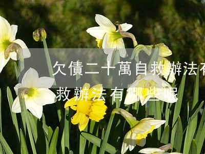 欠債二十萬自救辦法有哪些-欠債二十萬自救辦法有哪些呢