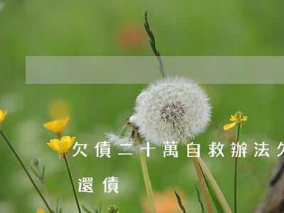 欠債二十萬自救辦法（欠債二十幾萬如何自救還債）
