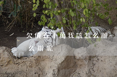 欠債五十萬 我該怎么辦-欠債五十萬 我該怎么辦呢