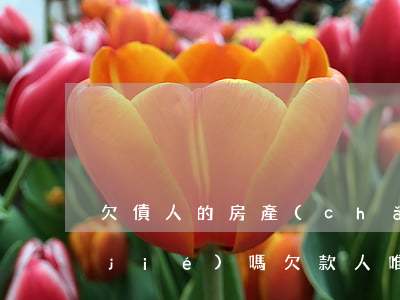 欠債人的房產(chǎn)法院可以凍結(jié)嗎(欠款人唯一房產(chǎn)是否凍結(jié)拍賣)