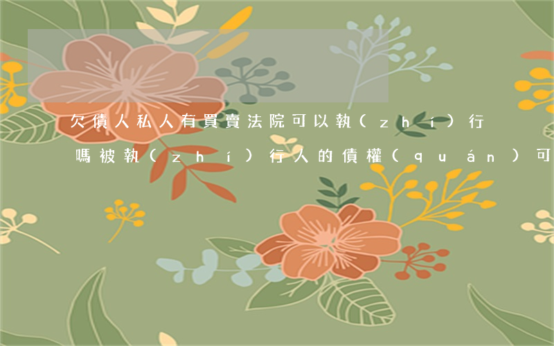 欠債人私人有買賣法院可以執(zhí)行嗎(被執(zhí)行人的債權(quán)可以轉(zhuǎn)讓嗎)