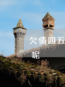 欠債四五十萬怎么辦-欠債四五十萬怎么辦呢
