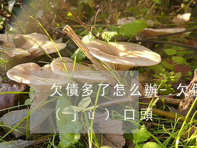 欠債多了怎么辦-欠債多了怎么辦,沒有證據(jù),口頭