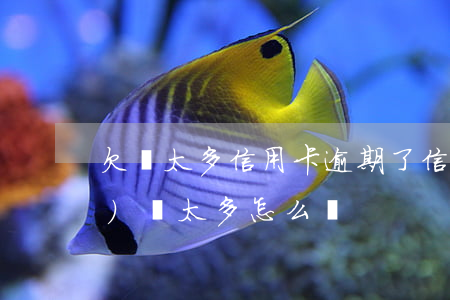 欠債太多信用卡逾期了(信用卡逾期負(fù)債太多怎么辦)
