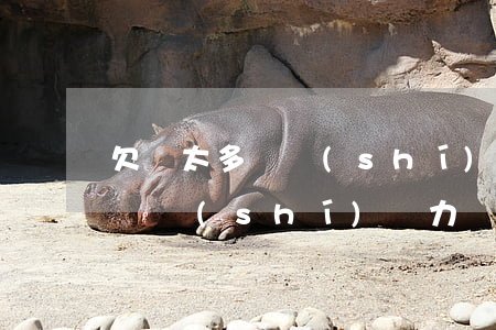 欠債太多暫時(shí)無力償還(欠債太多暫時(shí)無力償還會怎么樣)