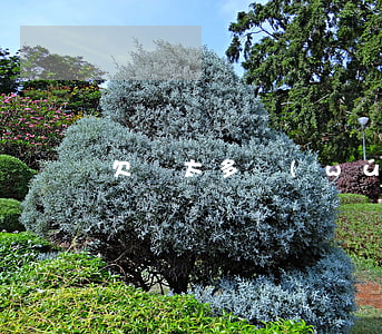 欠債太多無(wú)力償還怎么辦
