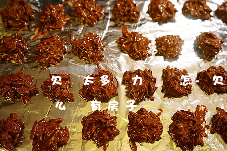 欠債太多無力償還怎-欠債太多無力償還怎么辦?有房子