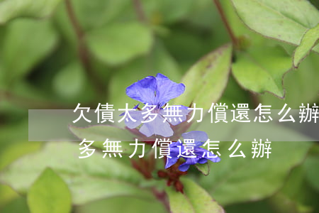 欠債太多無力償還怎么辦如何面對-欠債太多無力償還怎么辦?